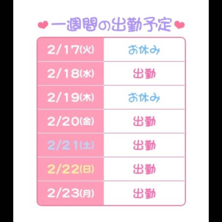 1週間のスケジュール