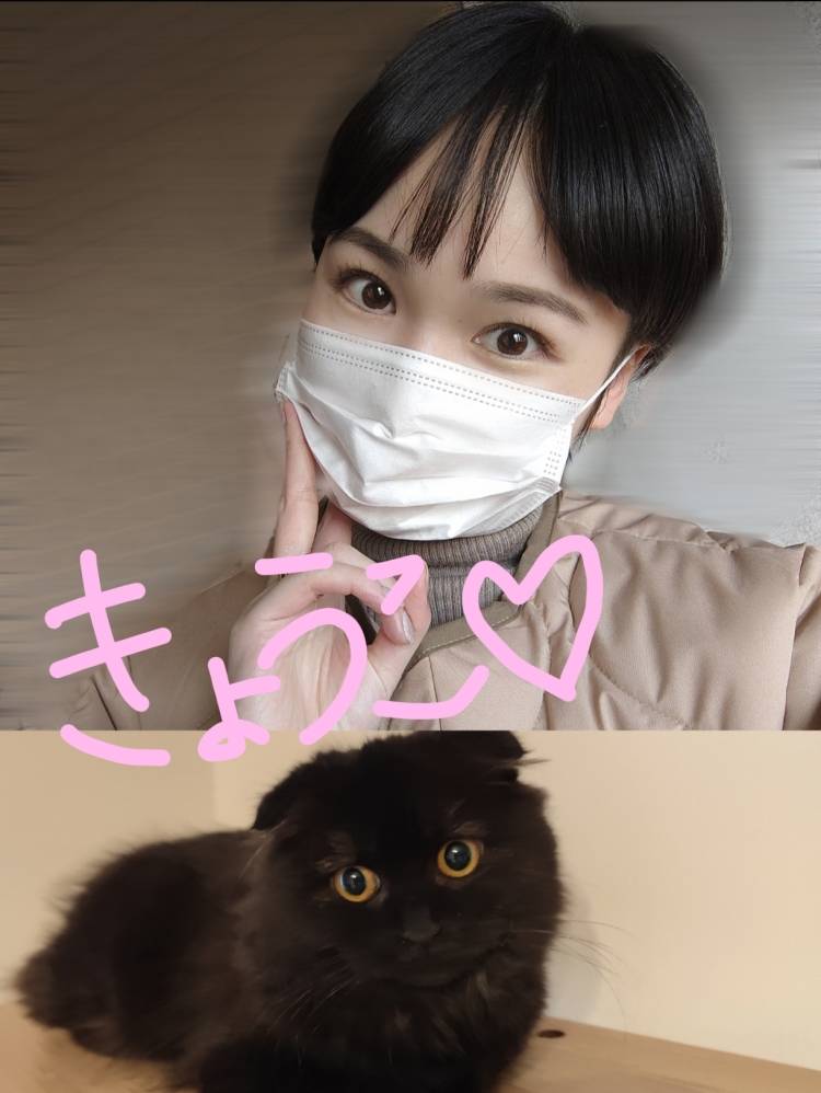 お休み中！