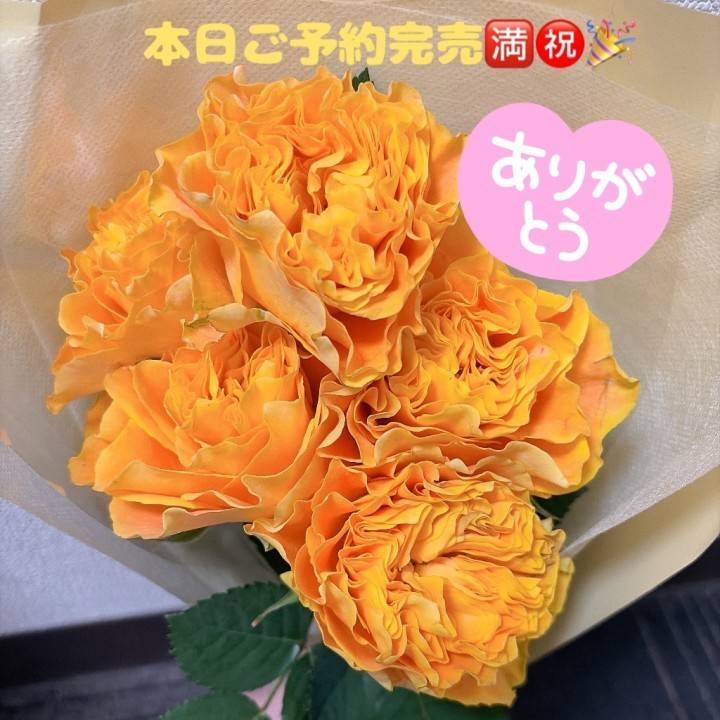 本日もDX全枠ご予約完売です🈵㊗️🎉