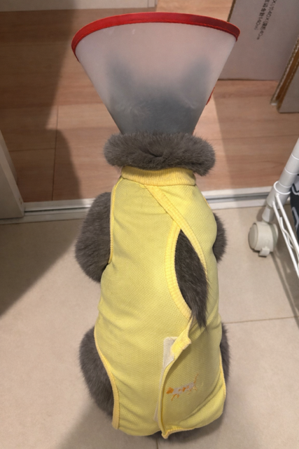 にやにや(๑¯ω¯๑)