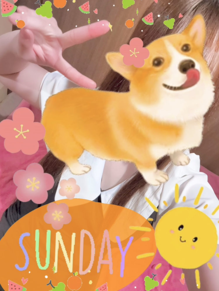 明日は日曜日✨