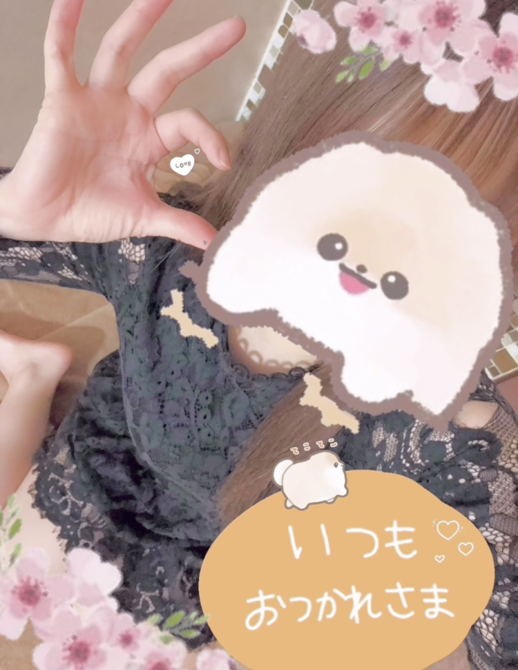 桜が咲く頃に🌸