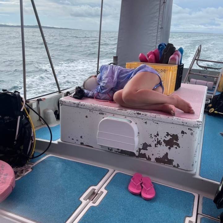 ソイプロテイン🫛