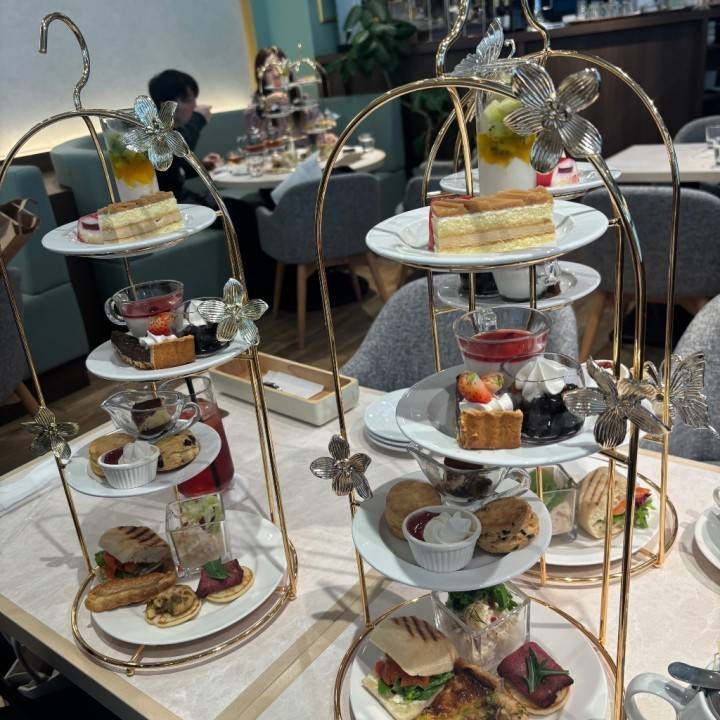 こんばんは･:*+.(( °ω° ))/.:+