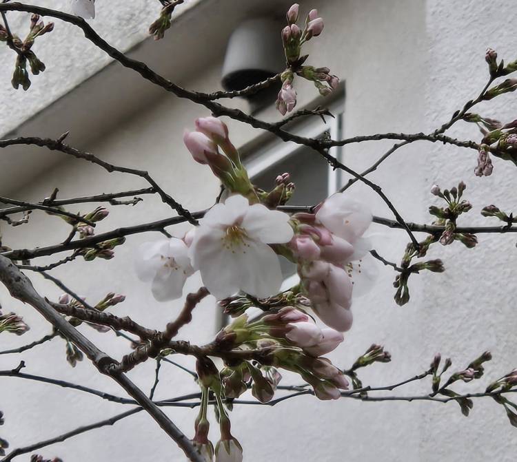 【空き枠情報】