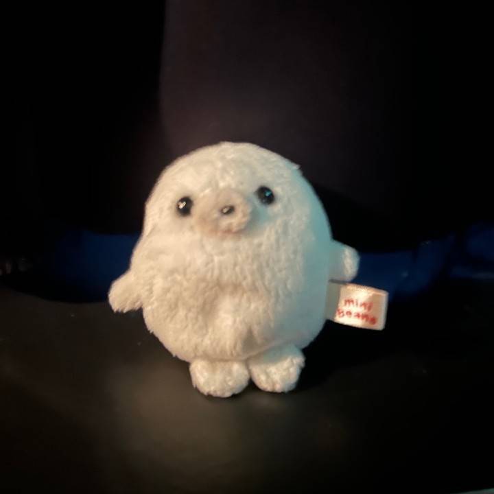 ごめんなさい🙇‍♀️🥲