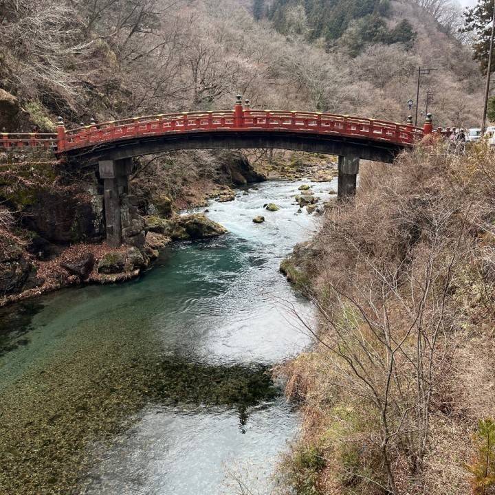 浄化