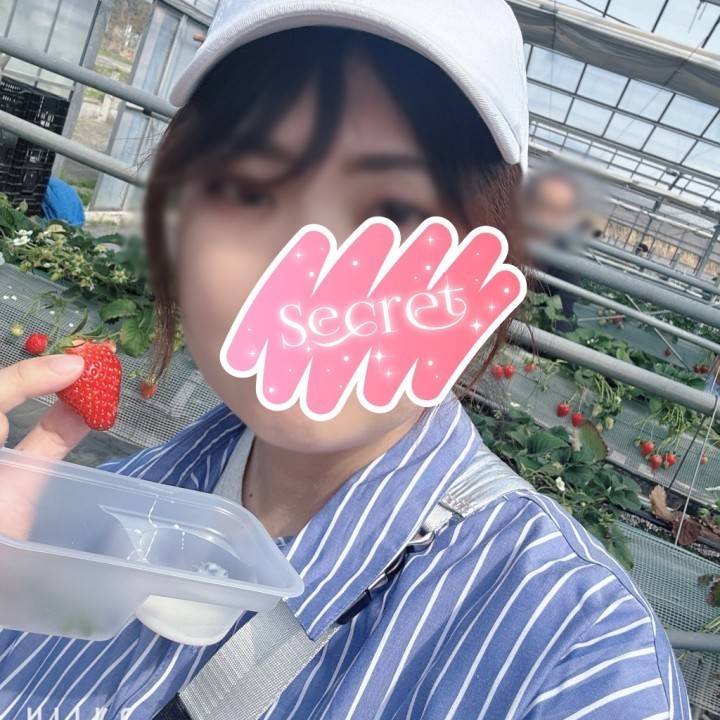 4月の予定