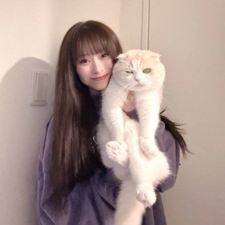 とうふ🐱