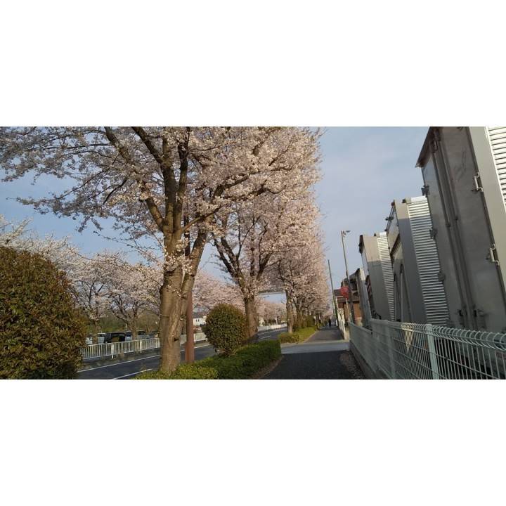 ほんじつ