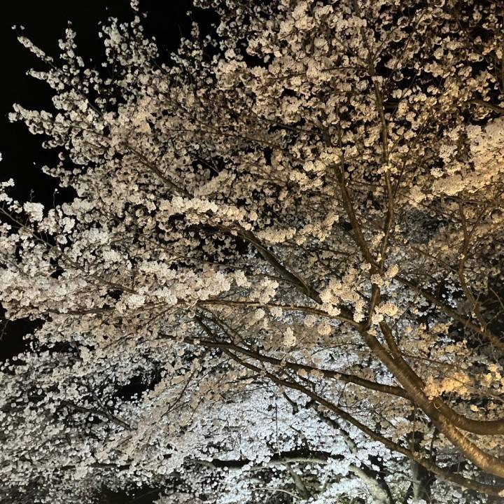 ありがとう💌