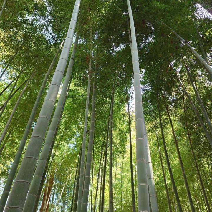 ありがとうございました(＞ω＜)