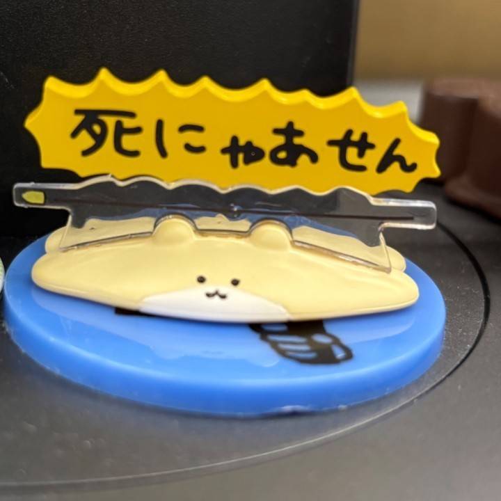 今日は寒かったね、、、😞
