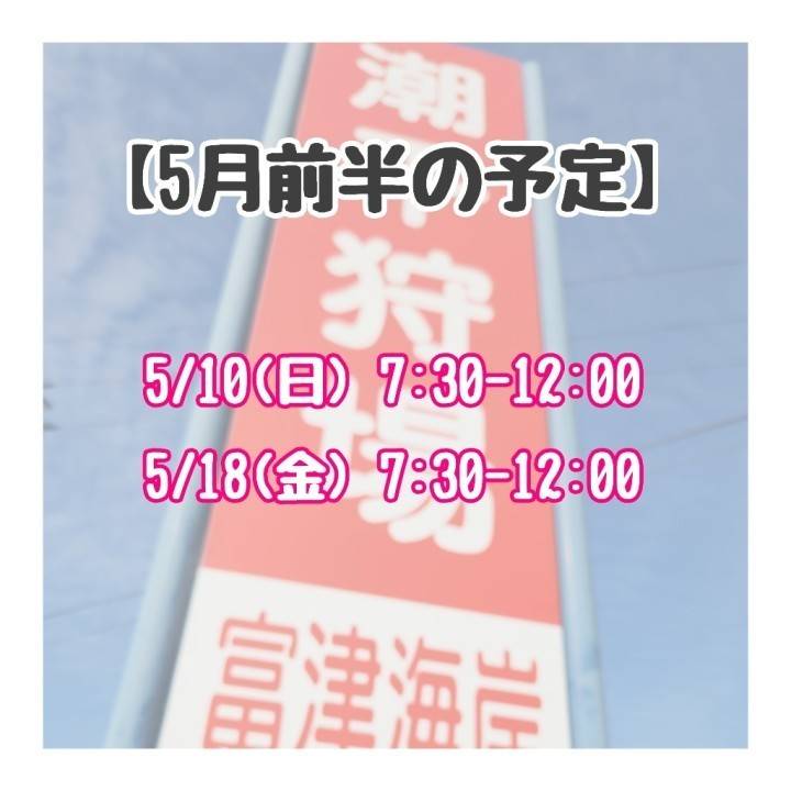 【5月前半🔔】