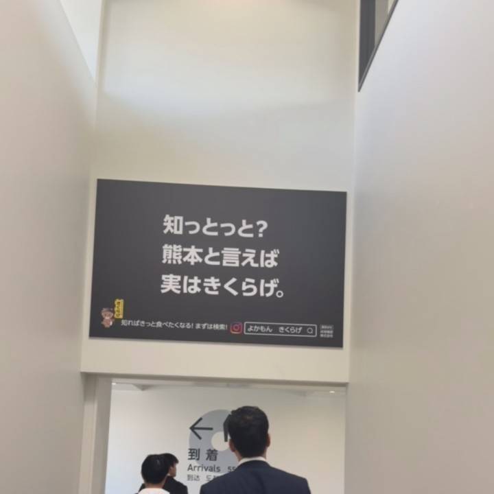熊本初上陸✈️