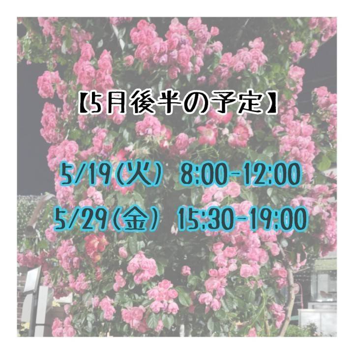 【5月後半‼️】