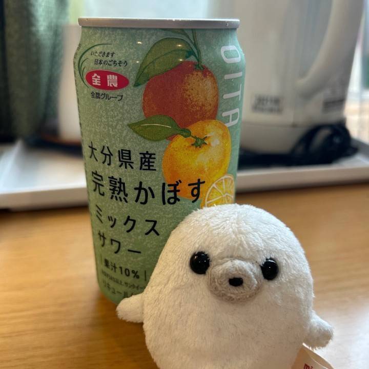 急遽お休みになりました🙇‍♀️