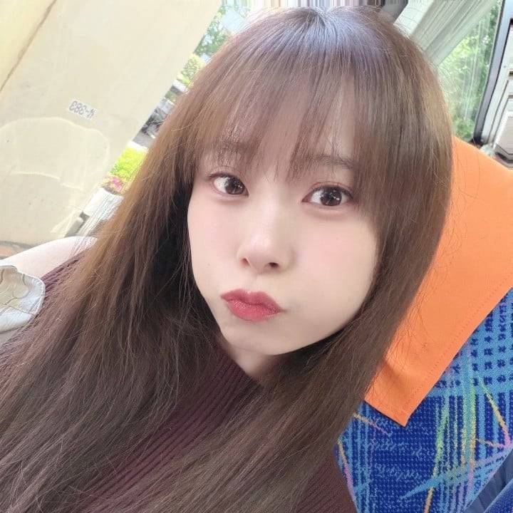 𝐺𝑜𝑜𝑑 𝑚𝑜𝑟𝑛𝑖𝑛𝑔︎ 🌻