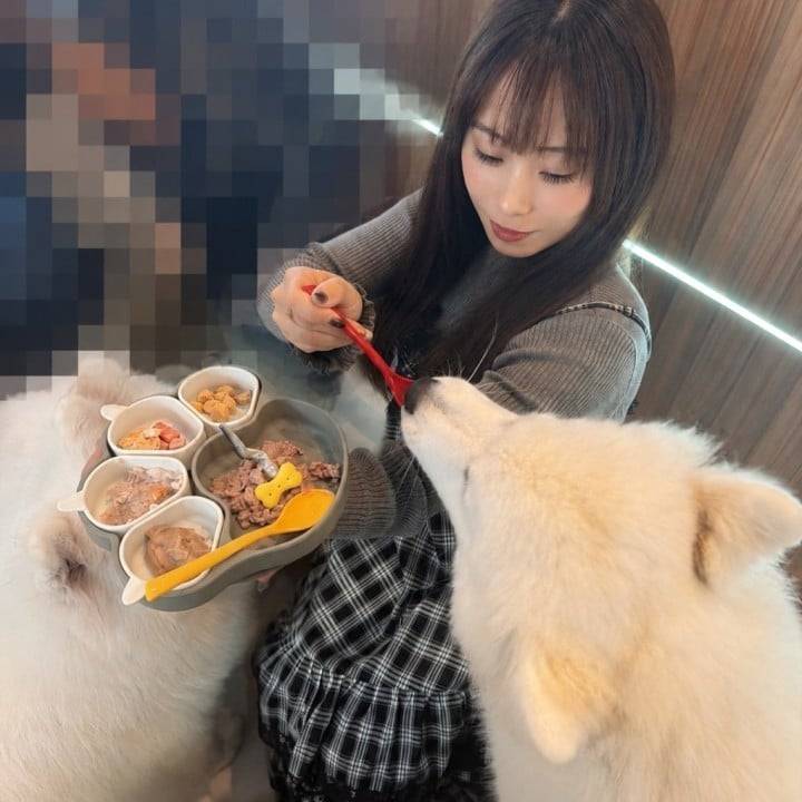 (∪・ω･)ﾜﾝｯ