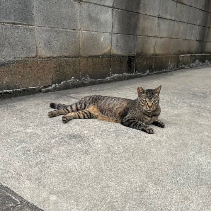 6月前半シフト🗓💕