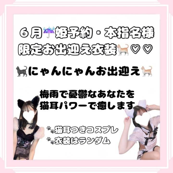6月にゃんにゃんイベント🐈‍⬛