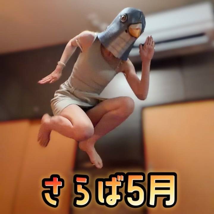 5月完走！！！