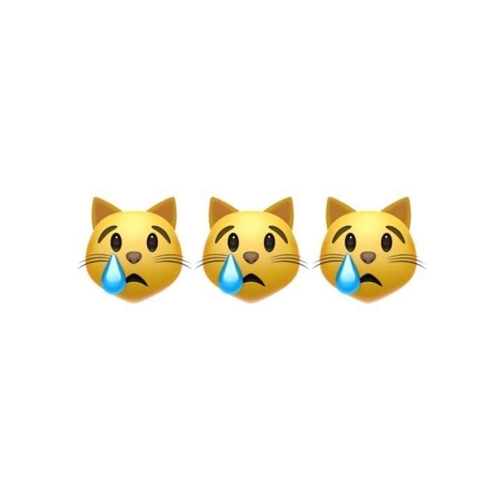 明日もお休みをいただきます🙇🏻‍♀️