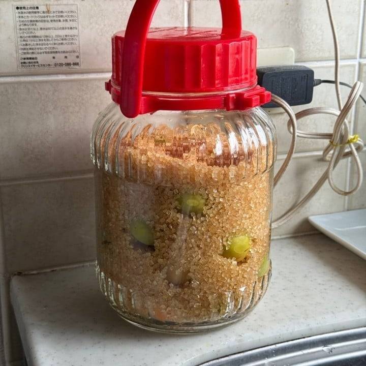 【今年も梅ジュースを作るのだ！】