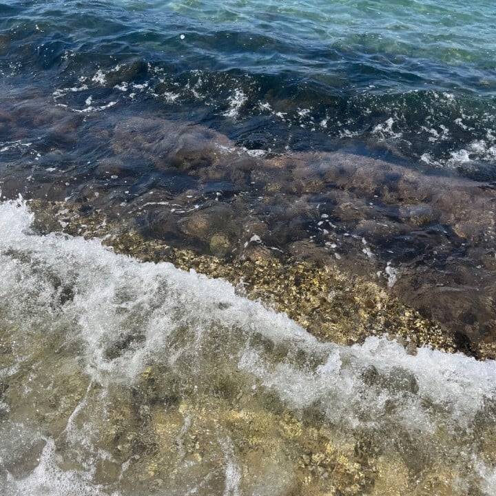 前行った海🌊