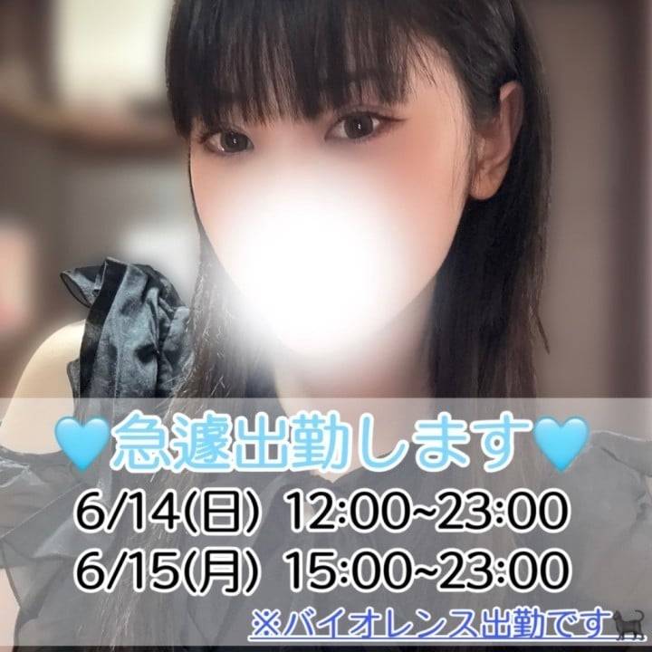 【急遽2日間出勤します🐈‍⬛🐾】