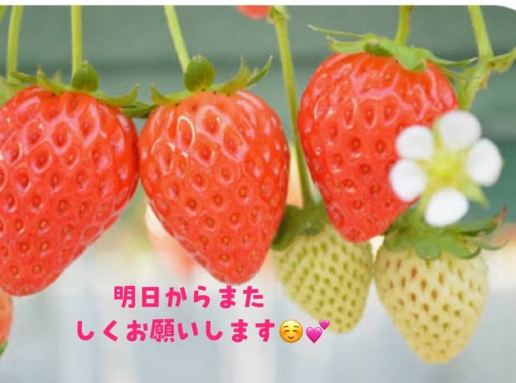 スタート🎶