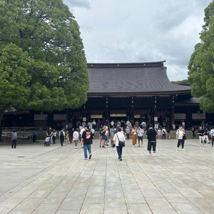 やほやほ
