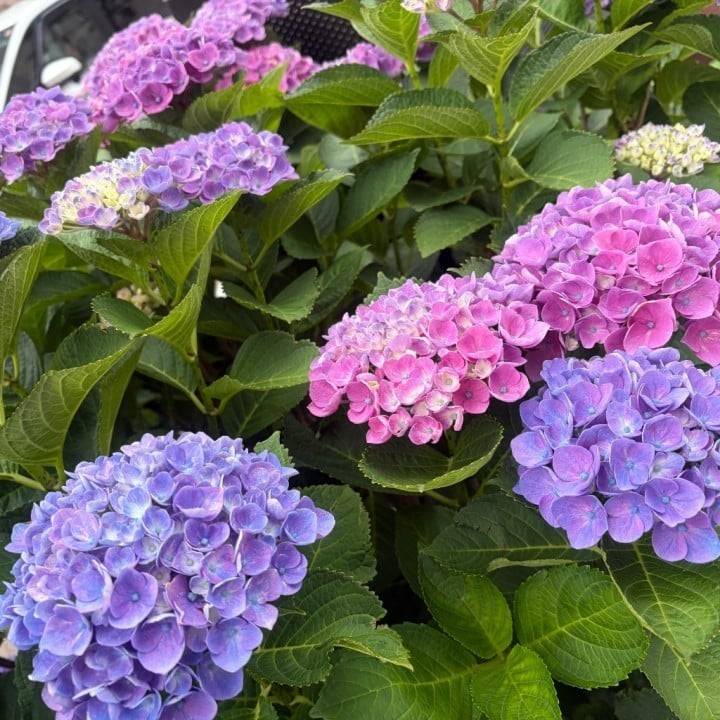 新しい発見♡