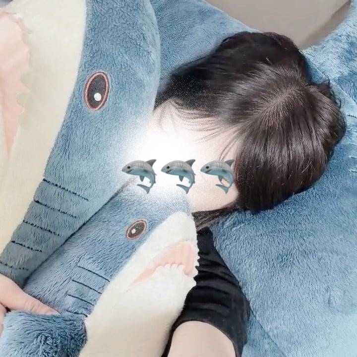 囲まれた🦈🦈🦈