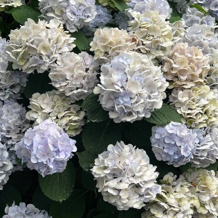 出勤