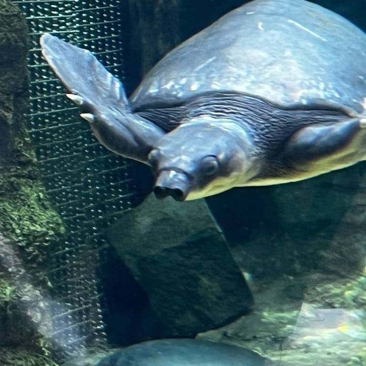出勤しました