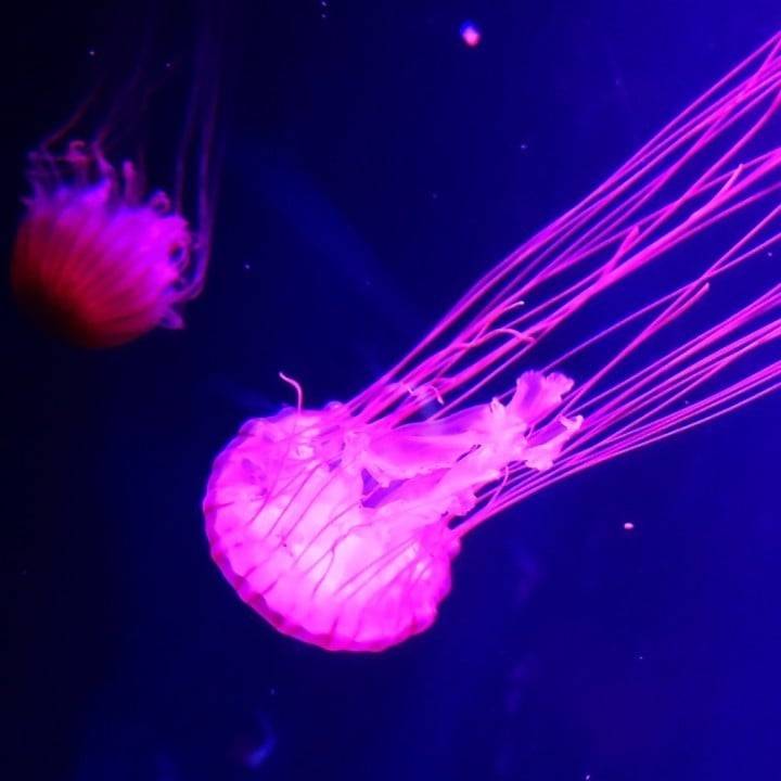 あした(∩´∀`∩)