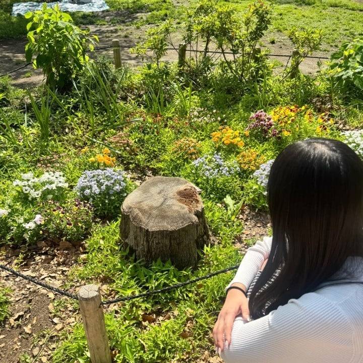 明日からです🙂‍↕️