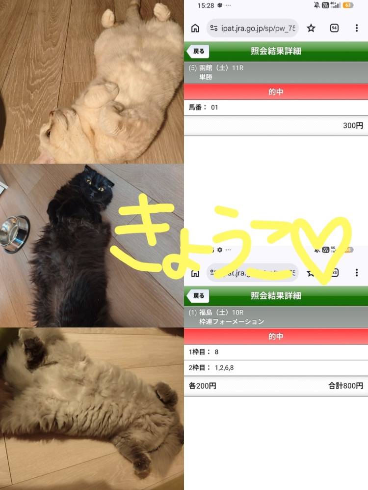 お休み中！！