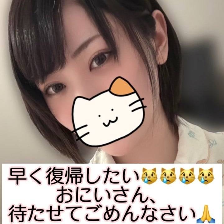 体調！頑張れ！くるりの免疫！