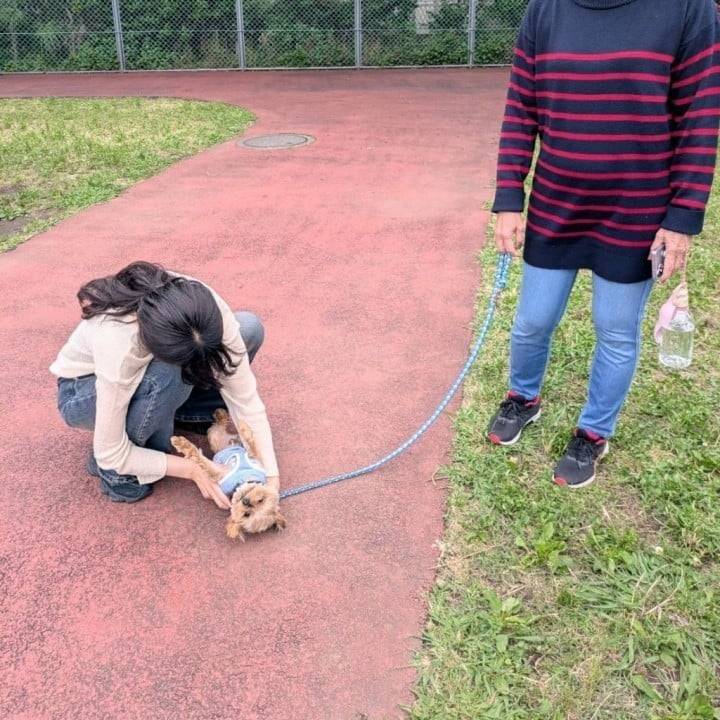 来週は出勤致します🙇‍♀️🙏🤍