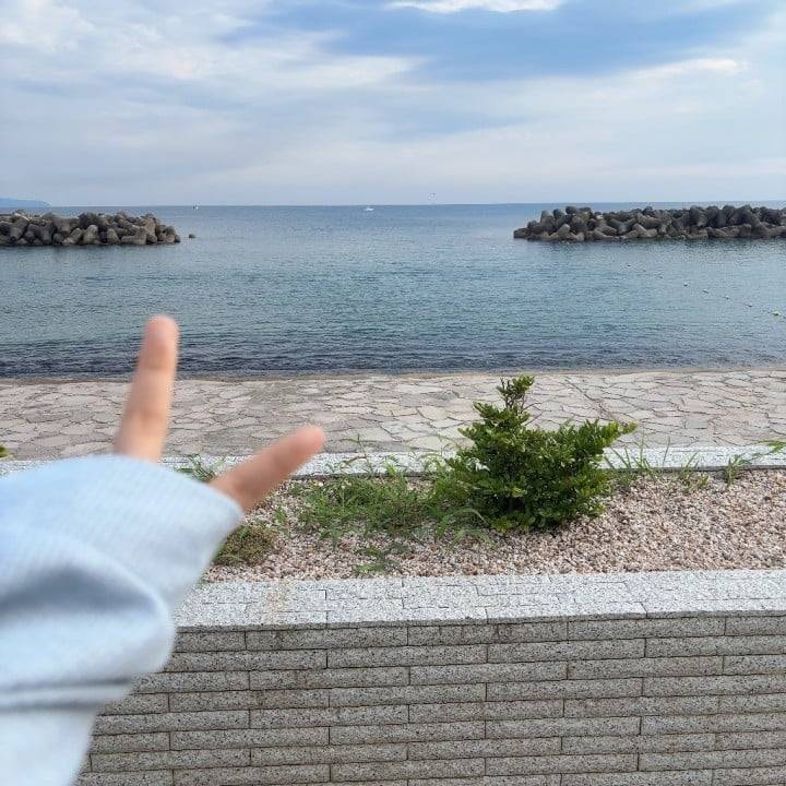 🕊️目覚めの元気さ✨🕊️