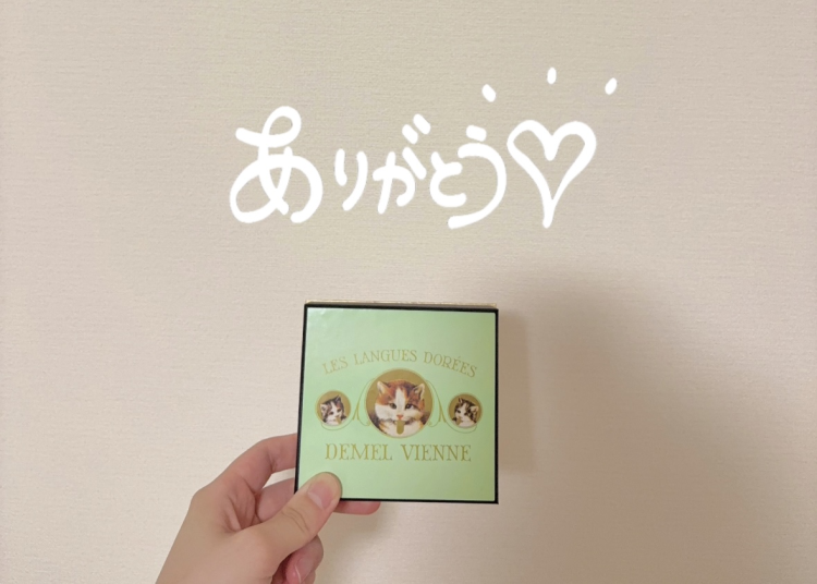 ニャー🐈💗