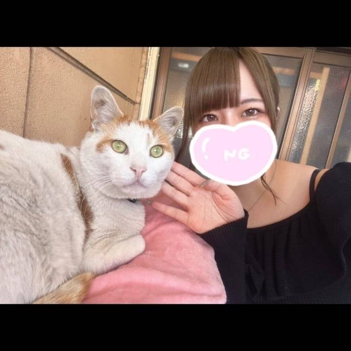 います！