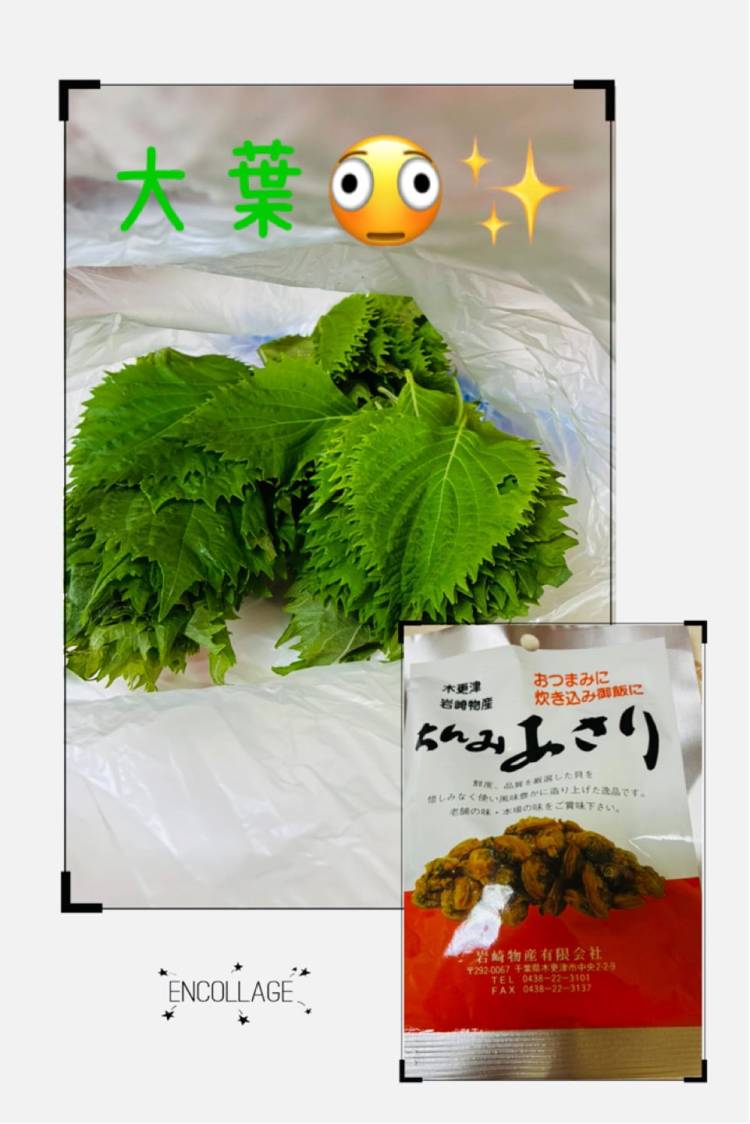 大量の大葉U^ェ^U