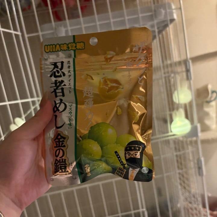 クワガタの差し入れはご遠慮ください😡