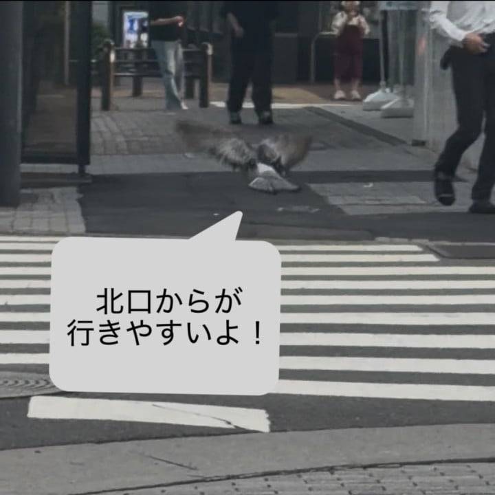 かぐやDX