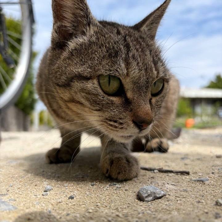 こんばんは