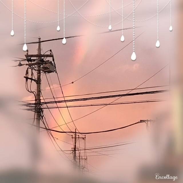 今日のお礼