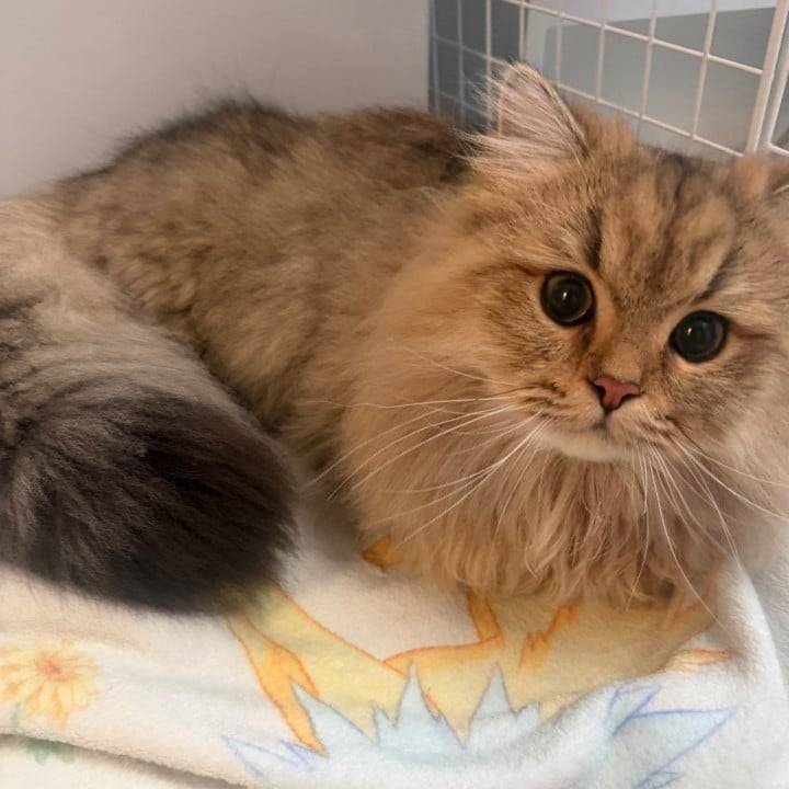 おおくきなったよ♡♡